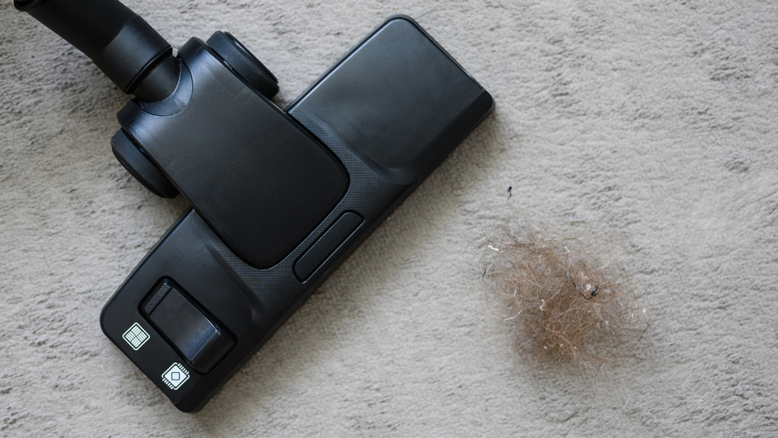 Breathe Easy this Spring: Essential Carpet Care for Allergy Sufferers