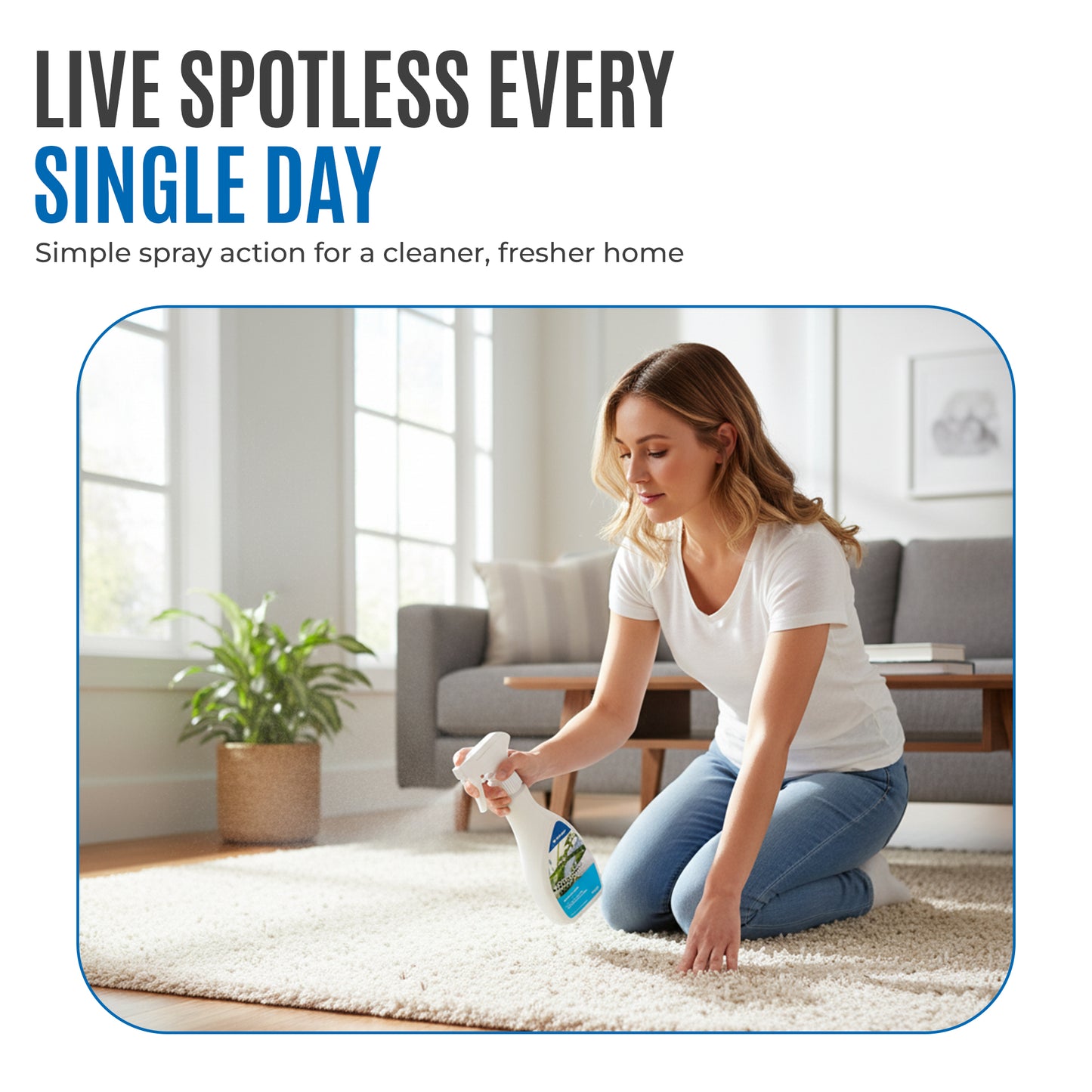 Baygard – Carpet Protection Spray